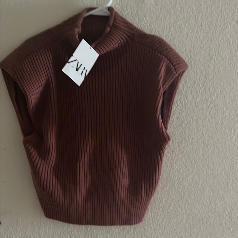 Zara Ribbed Knit Top in Deep Brown